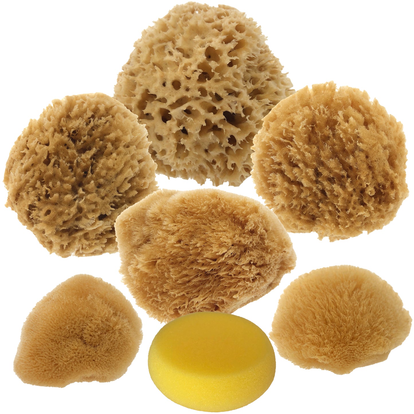Artist Natural Sea Sponge Pack