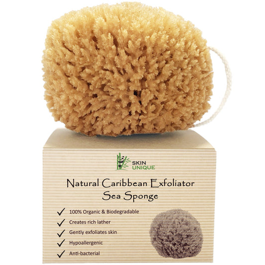 Caribbean Exfoliating Natural Sea Sponge