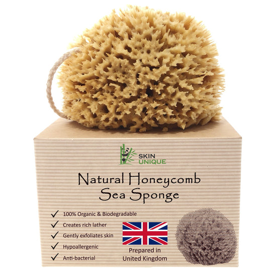 Mediterranean Natural Sea Sponge in Gift Box