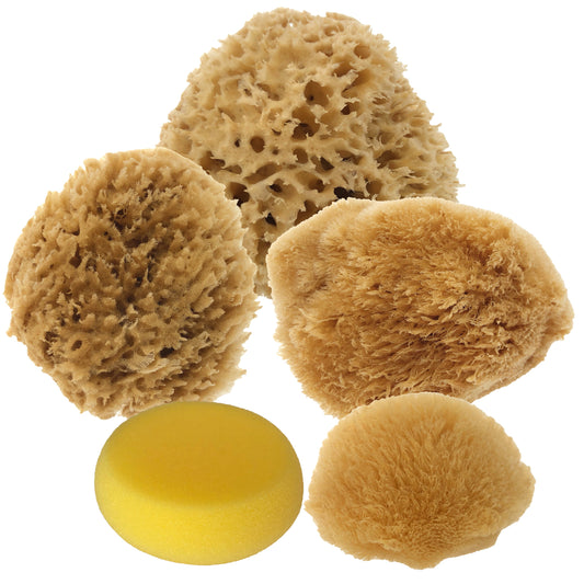 Artist Natural Sea Sponge Pack