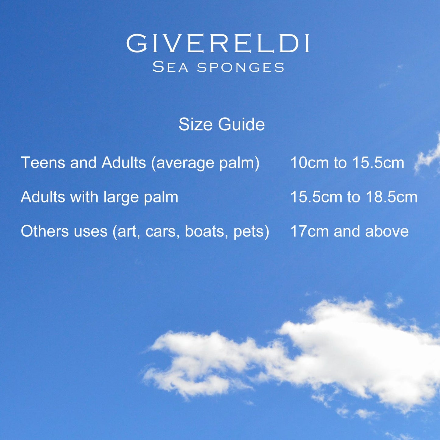 Power Exfoliator Natural Sea Sponge