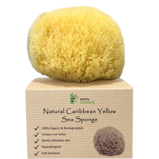 Caribbean Yellow Natural Sea Sponge