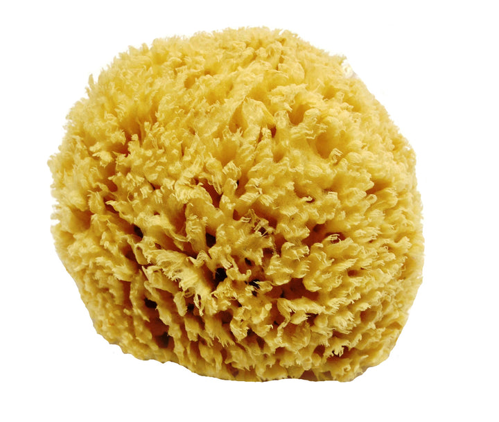 Luxury Bath Sponges that are 100% Natural and Biodegradable – Natural ...